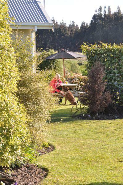 Blue Thistle Holiday home *